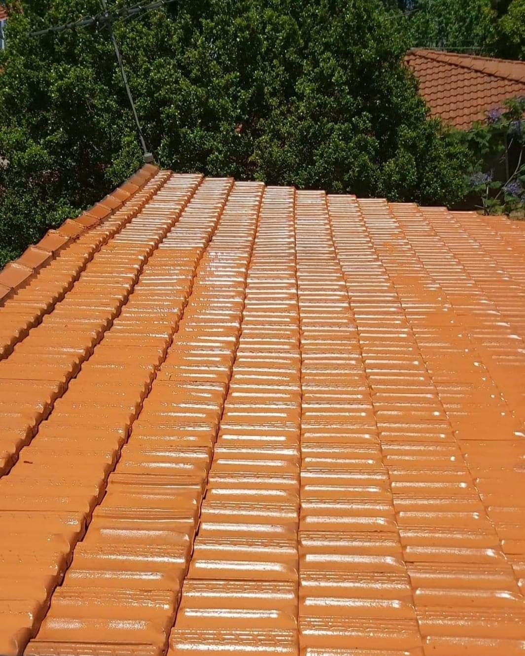 Roofing project by Desi Building Solutions